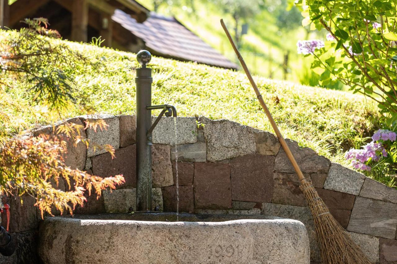 Apartmán Der Ladurner Hof - Wohnen Am Weinberg Merano Exteriér fotografie