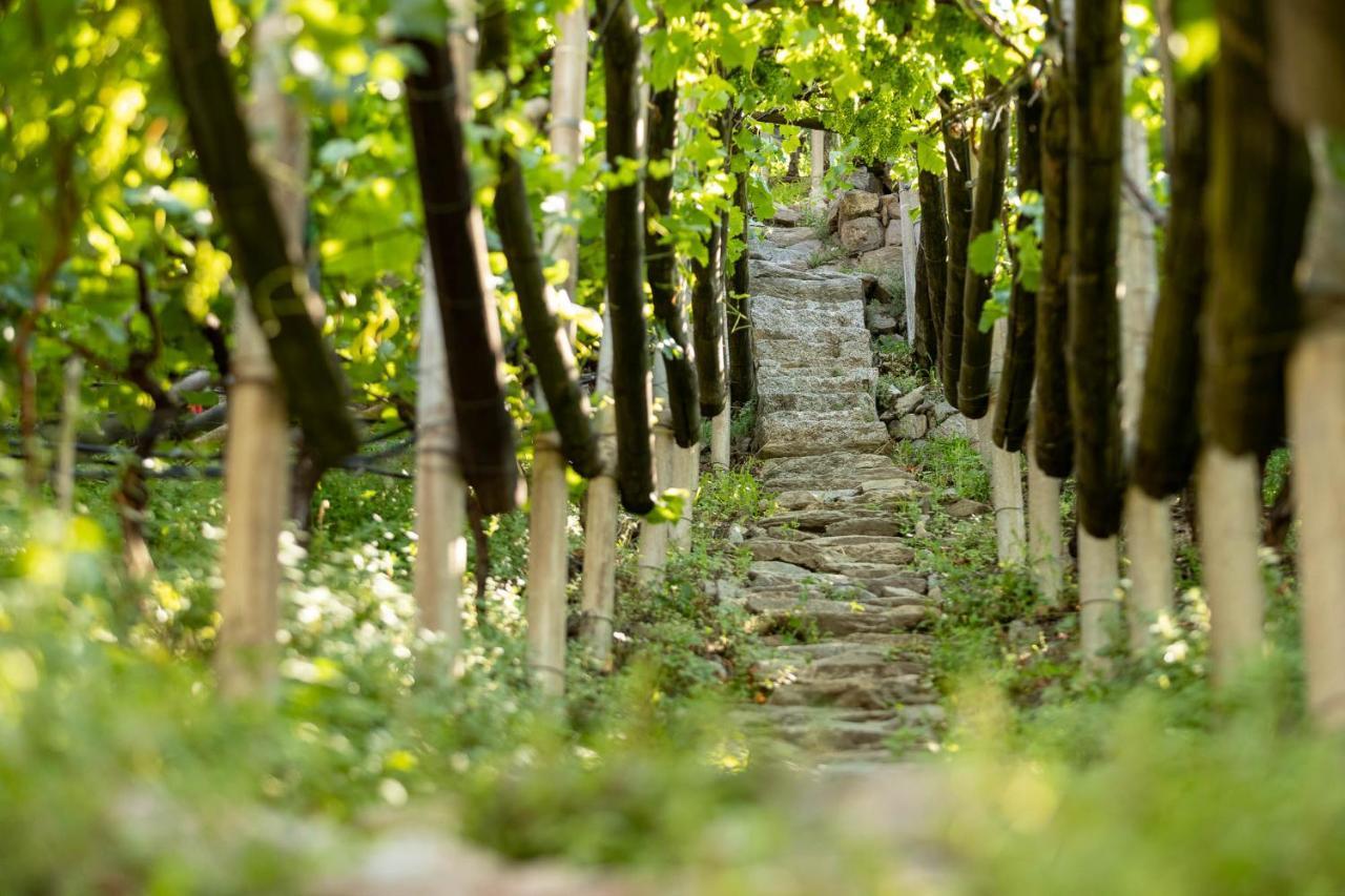 Apartmán Der Ladurner Hof - Wohnen Am Weinberg Merano Exteriér fotografie